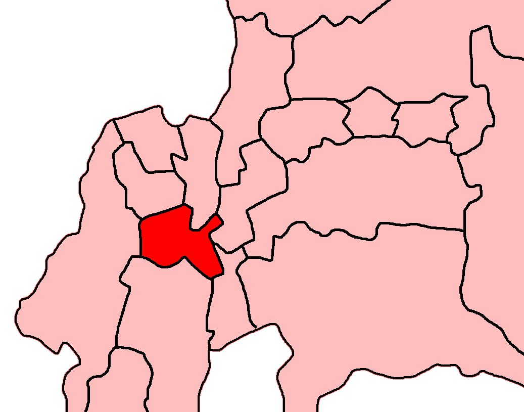 Claremont constituency in 1981