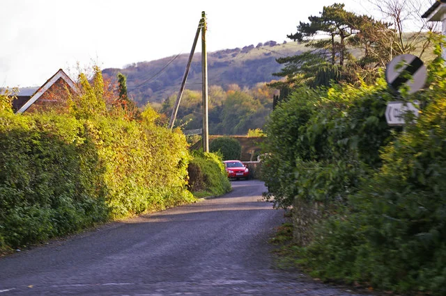 Photo of Clayton West