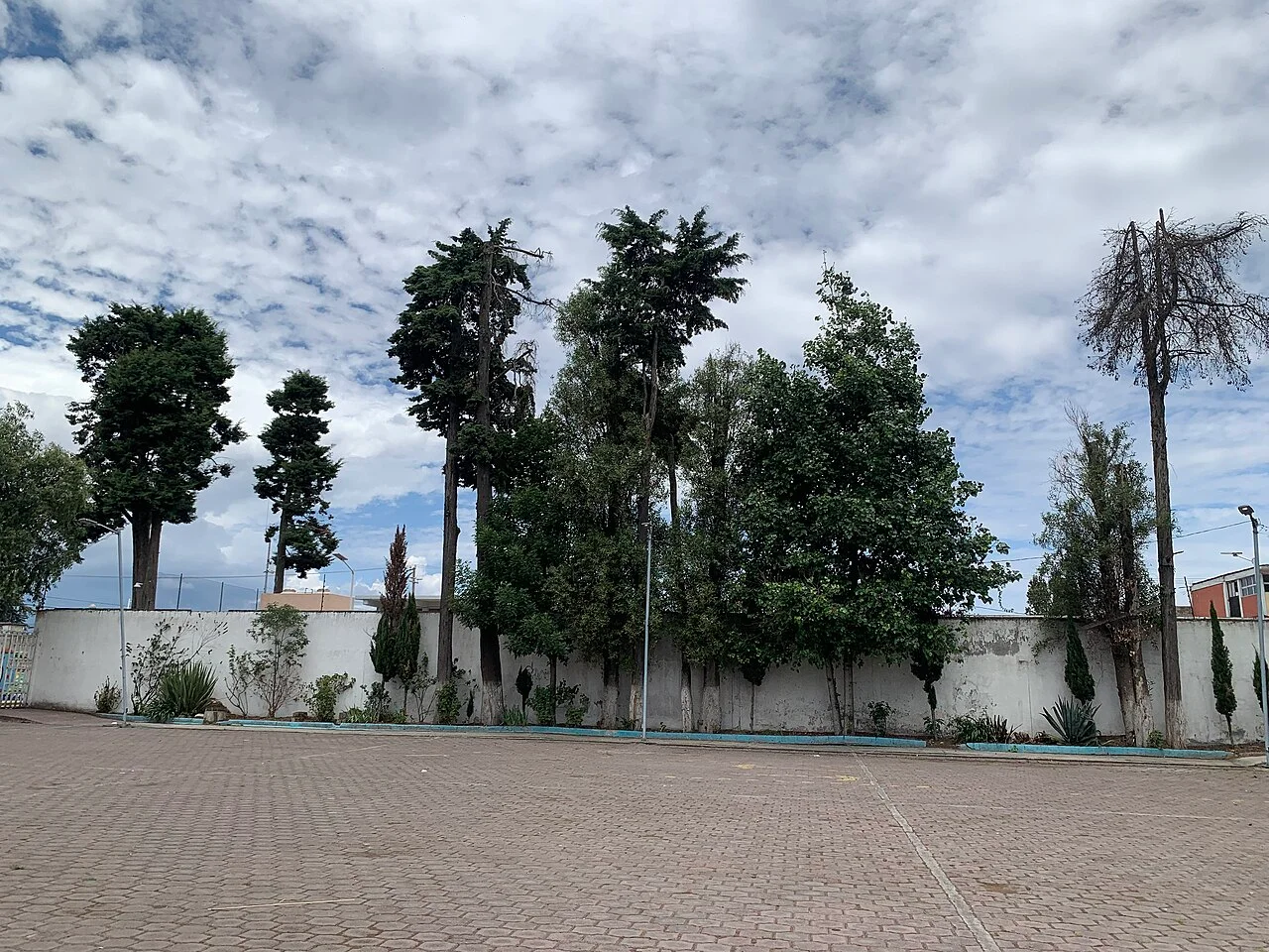 Photo of Cliserio Alanís (San Gaspar)