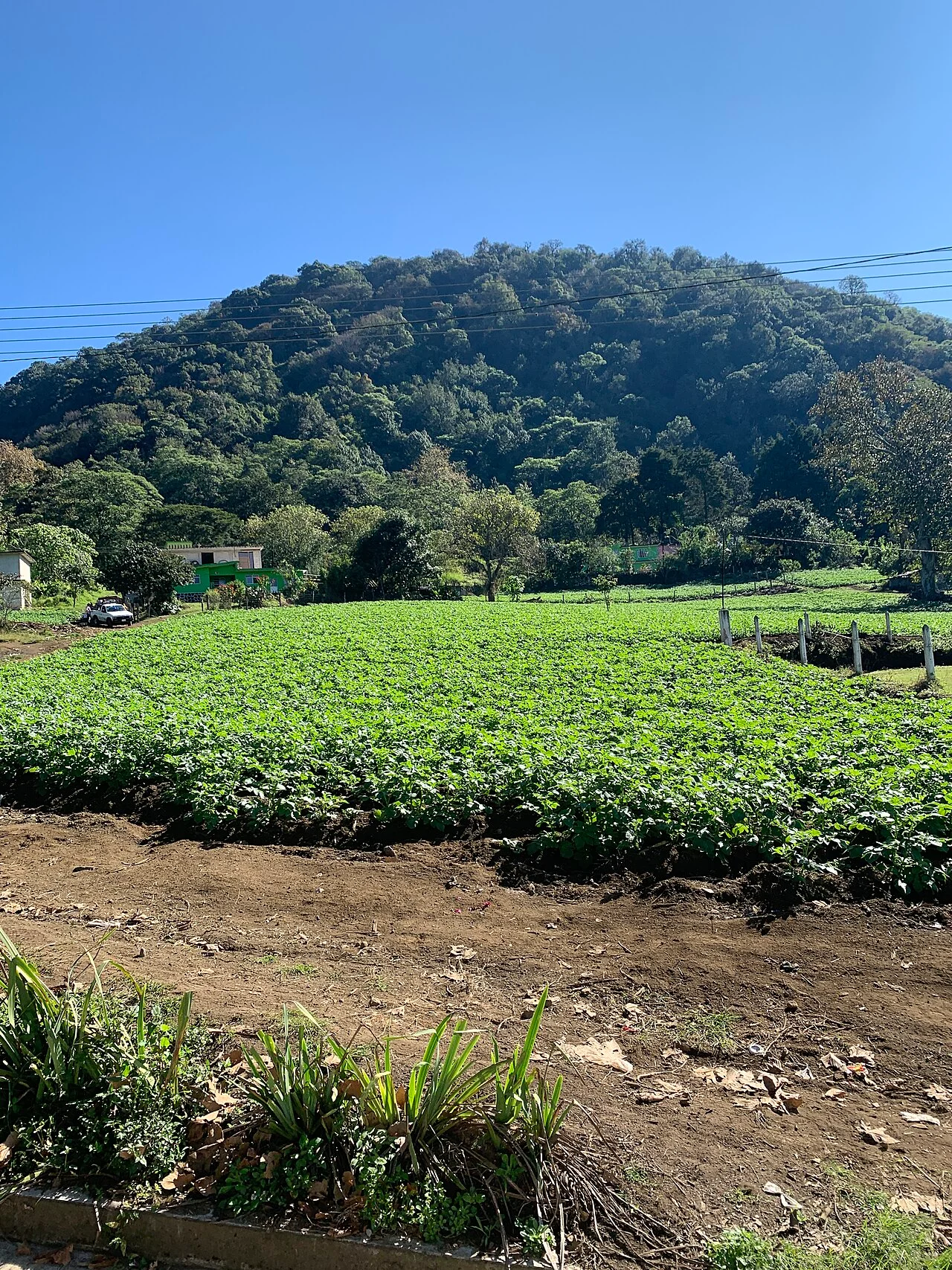 Photo of Coacoatzintla