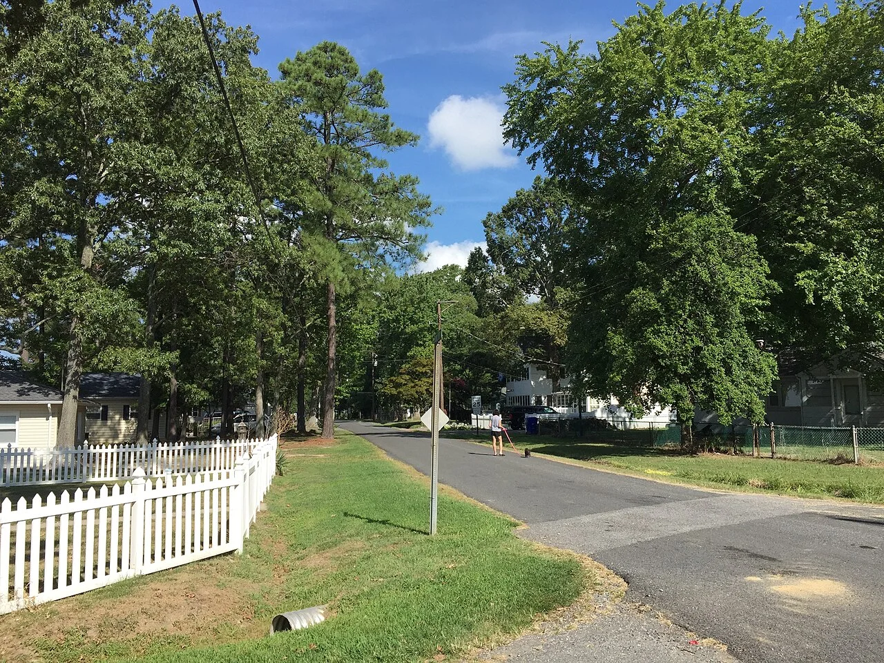 Photo of Cobb Island