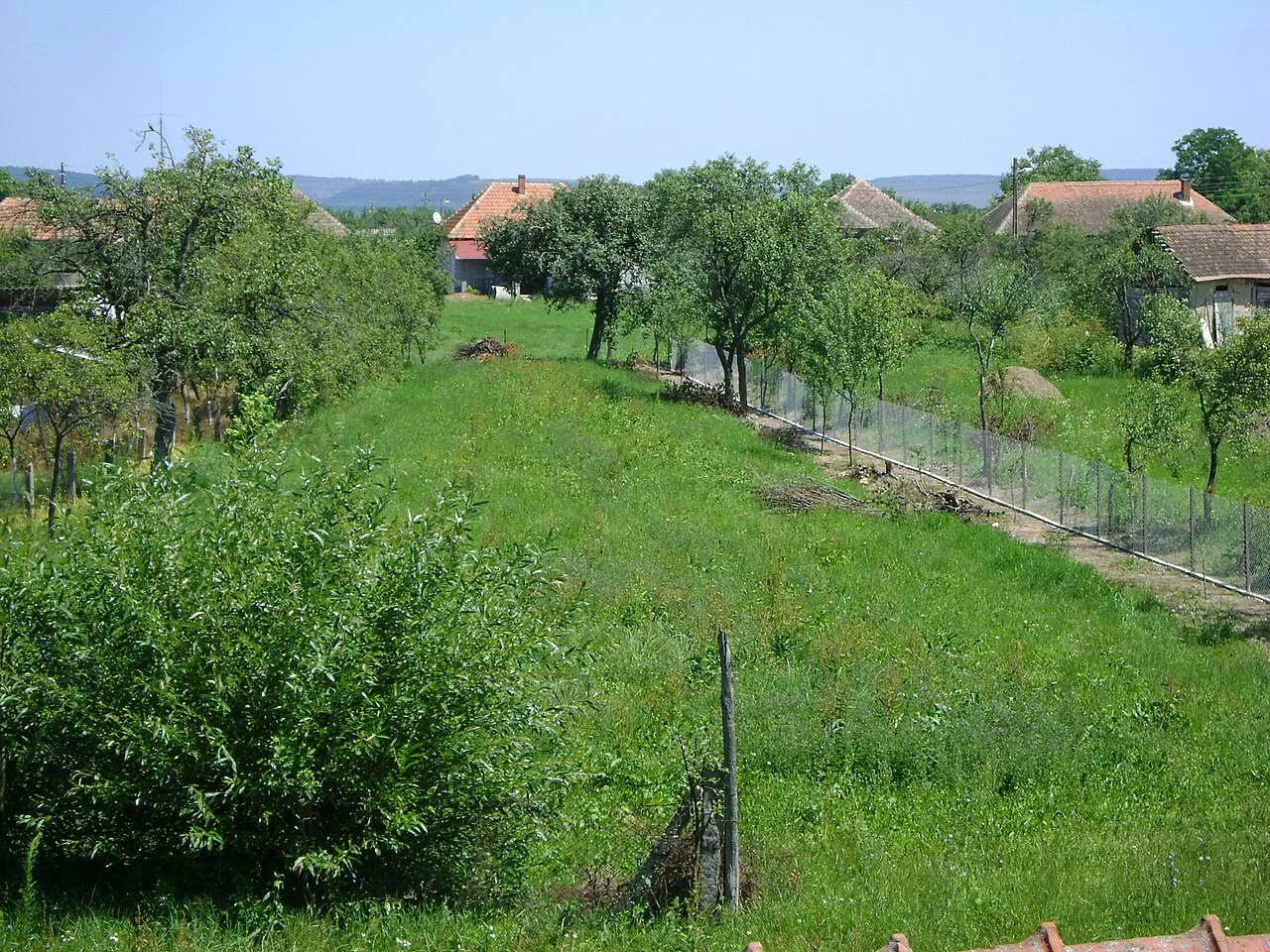 Photo of Cociuba Mare