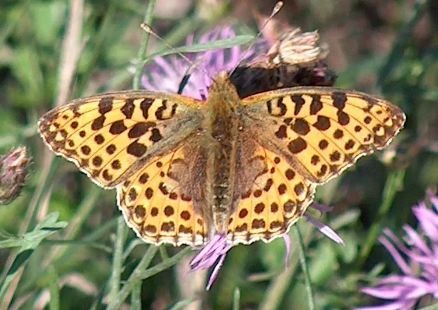 Photo of Cold Spring Harbor