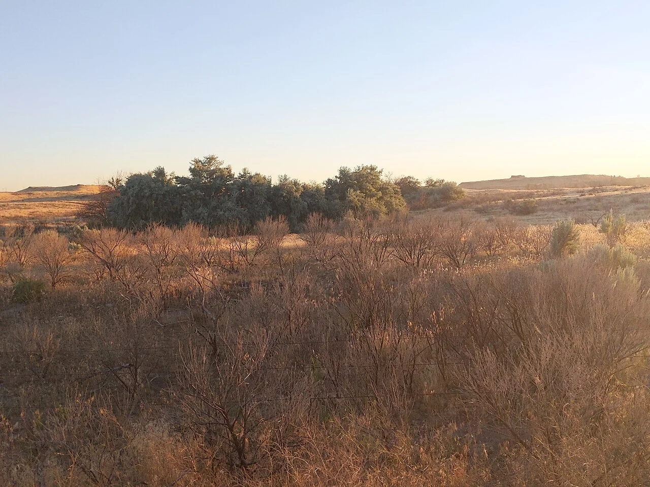 Photo of Cold Springs