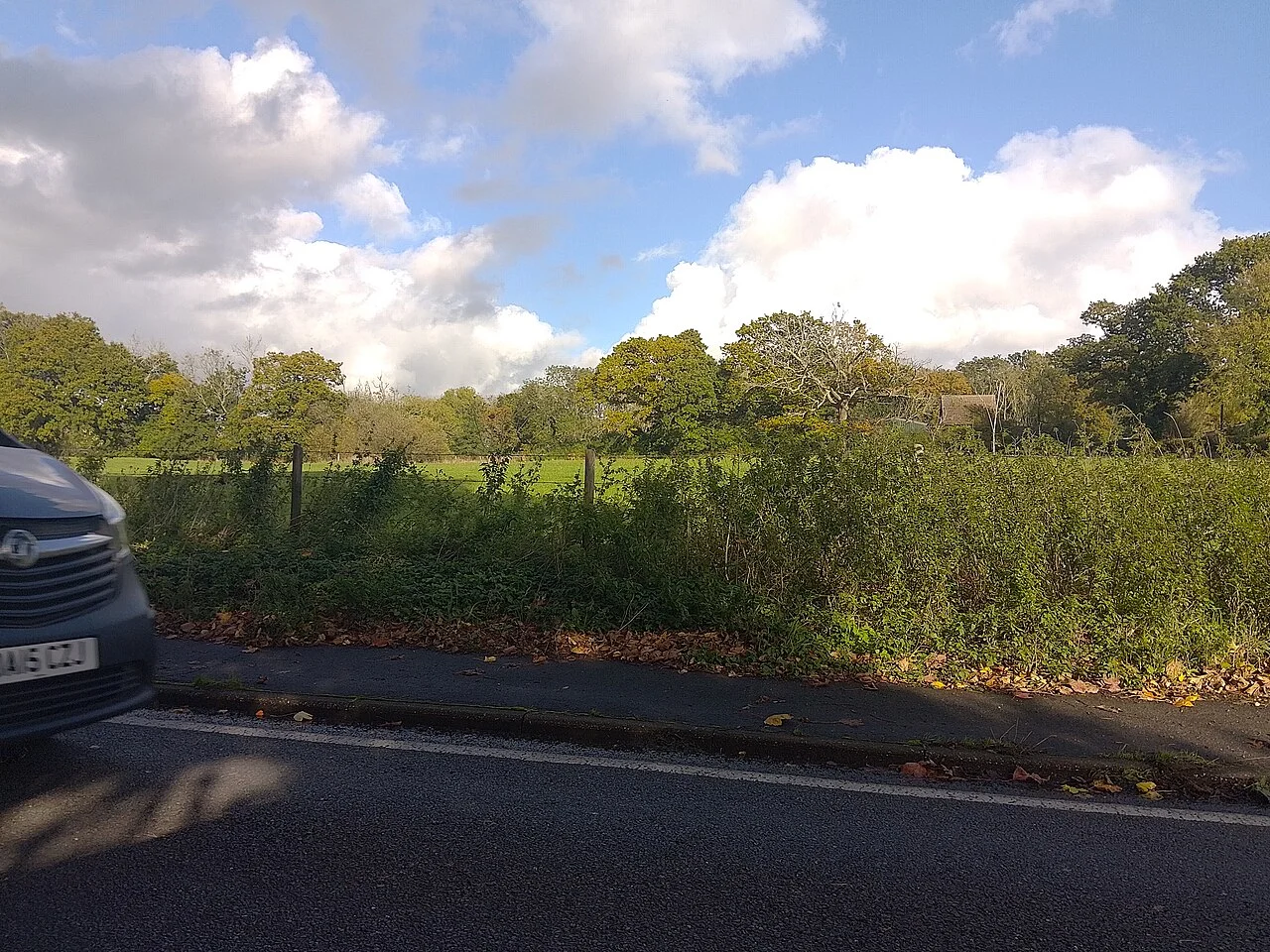 Photo of Colden Common