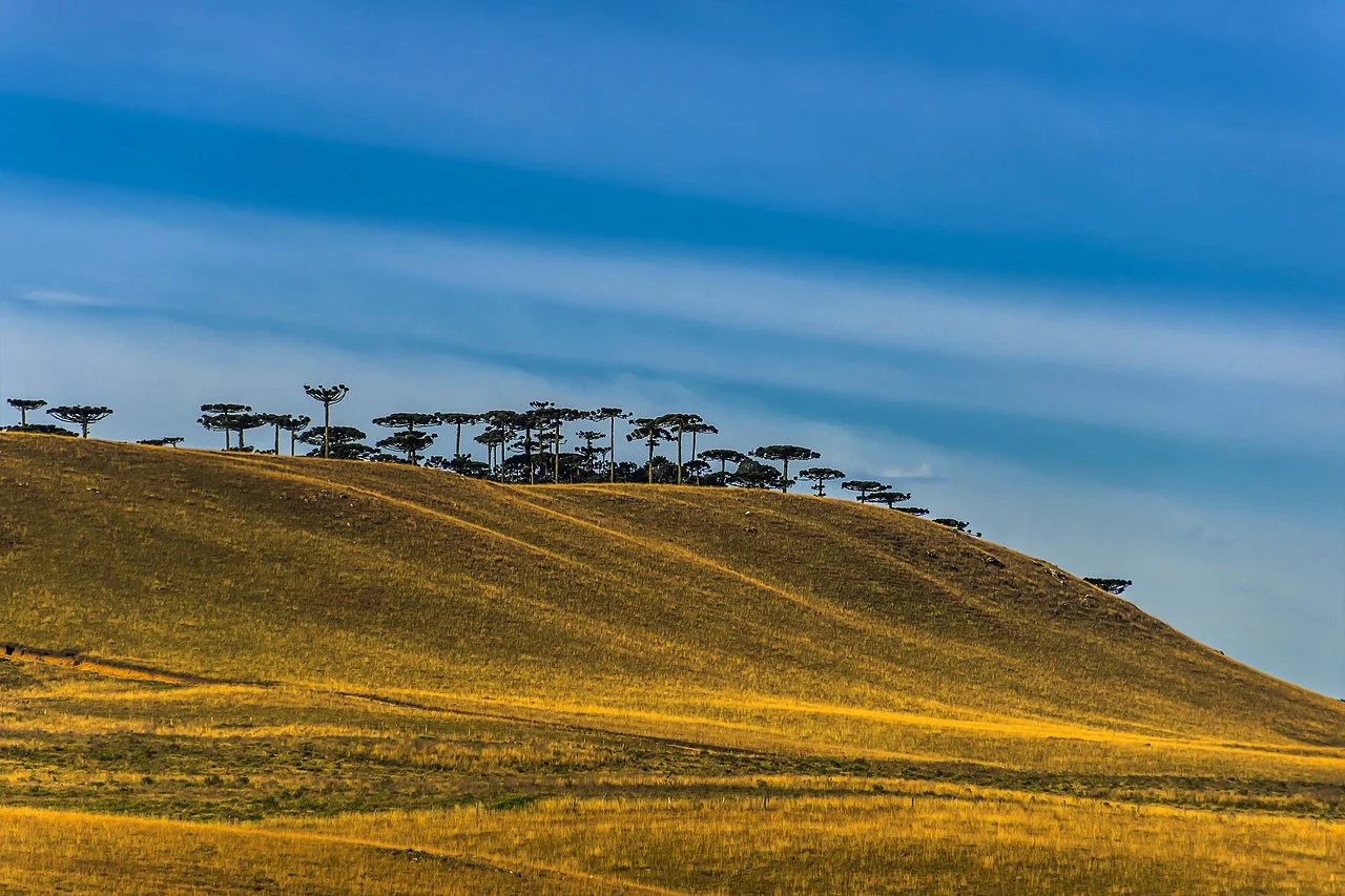 Photo of Colinas do Sul