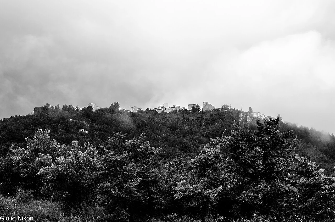 Photo of Colledimacine