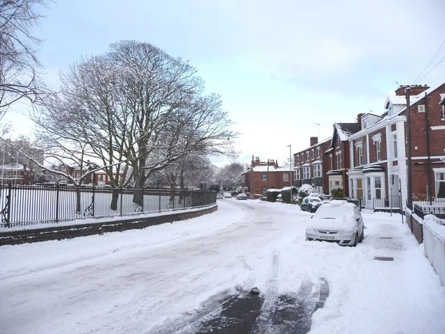 Photo of College Grove