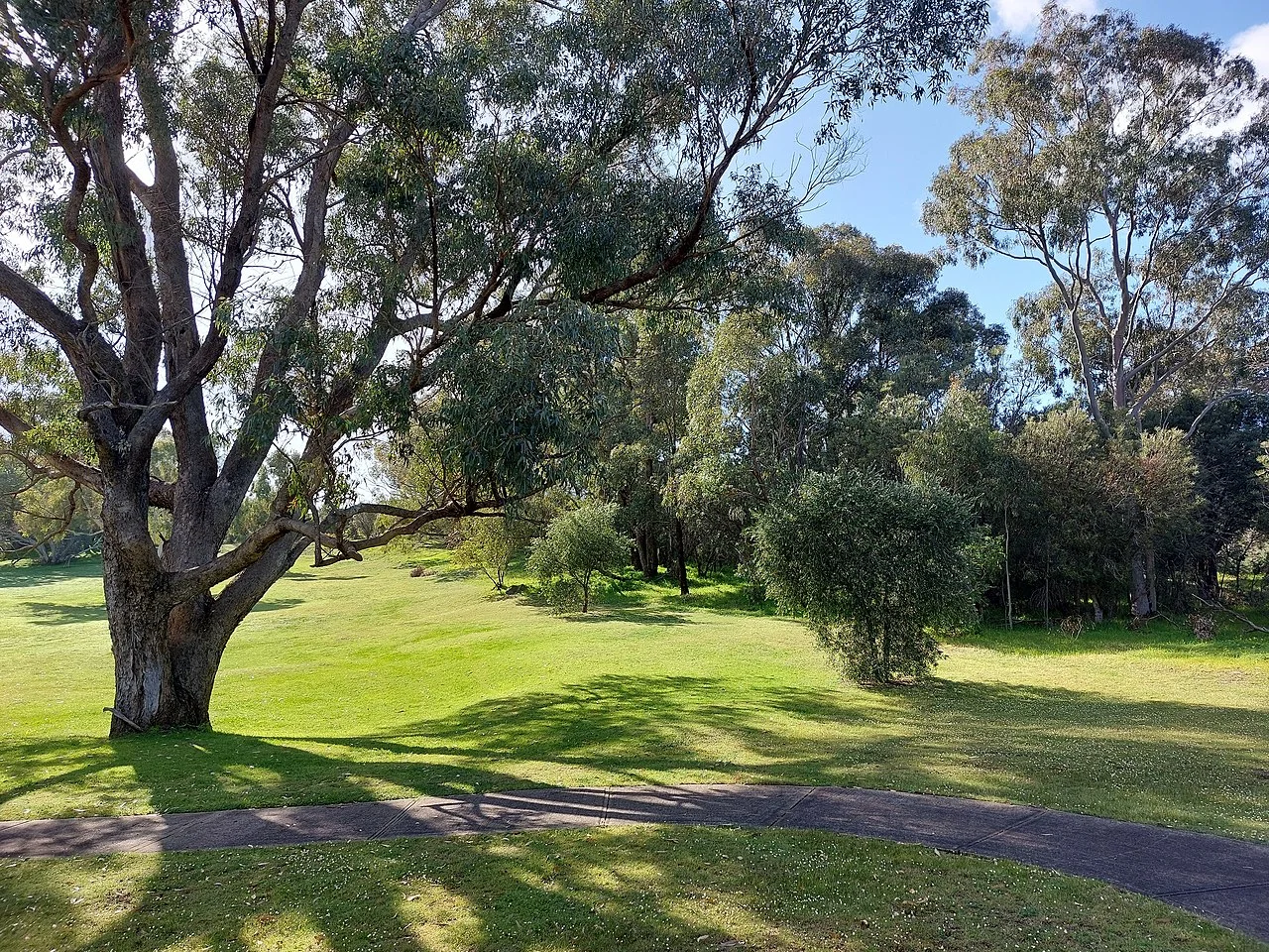 Photo of College Grove