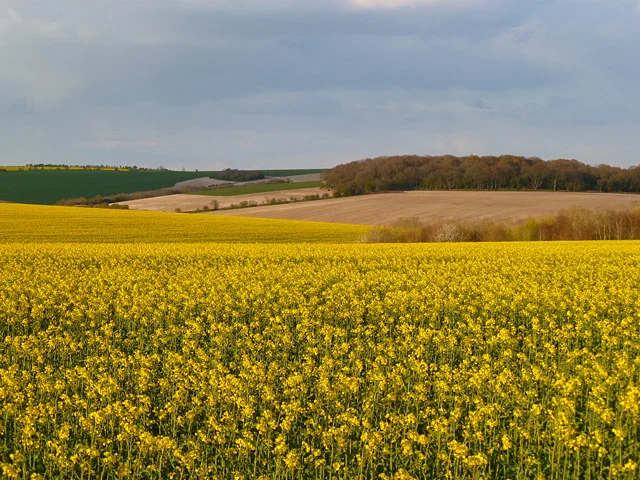 Photo of Collingbourne Kingston