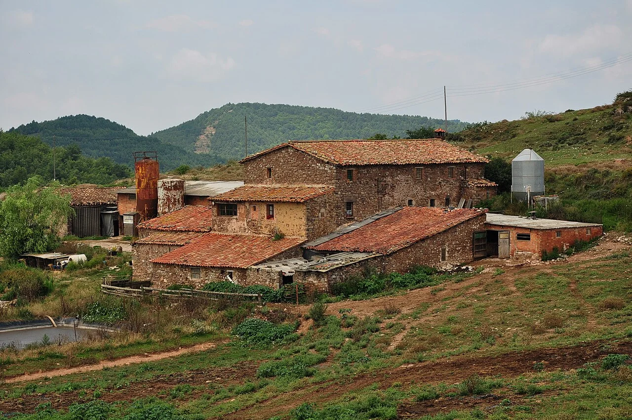 Photo of Collsuspina