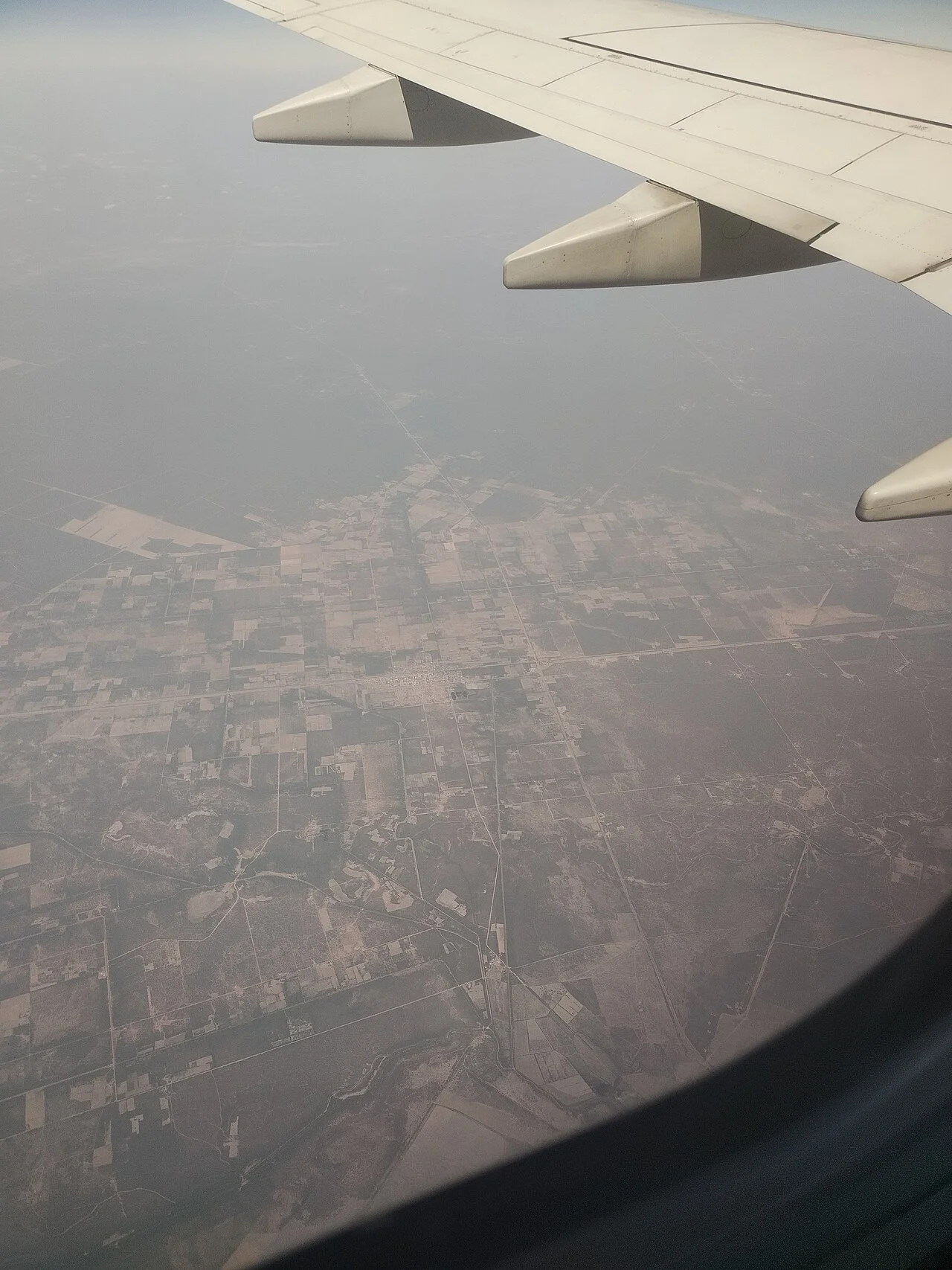 Photo of Colonia Dora