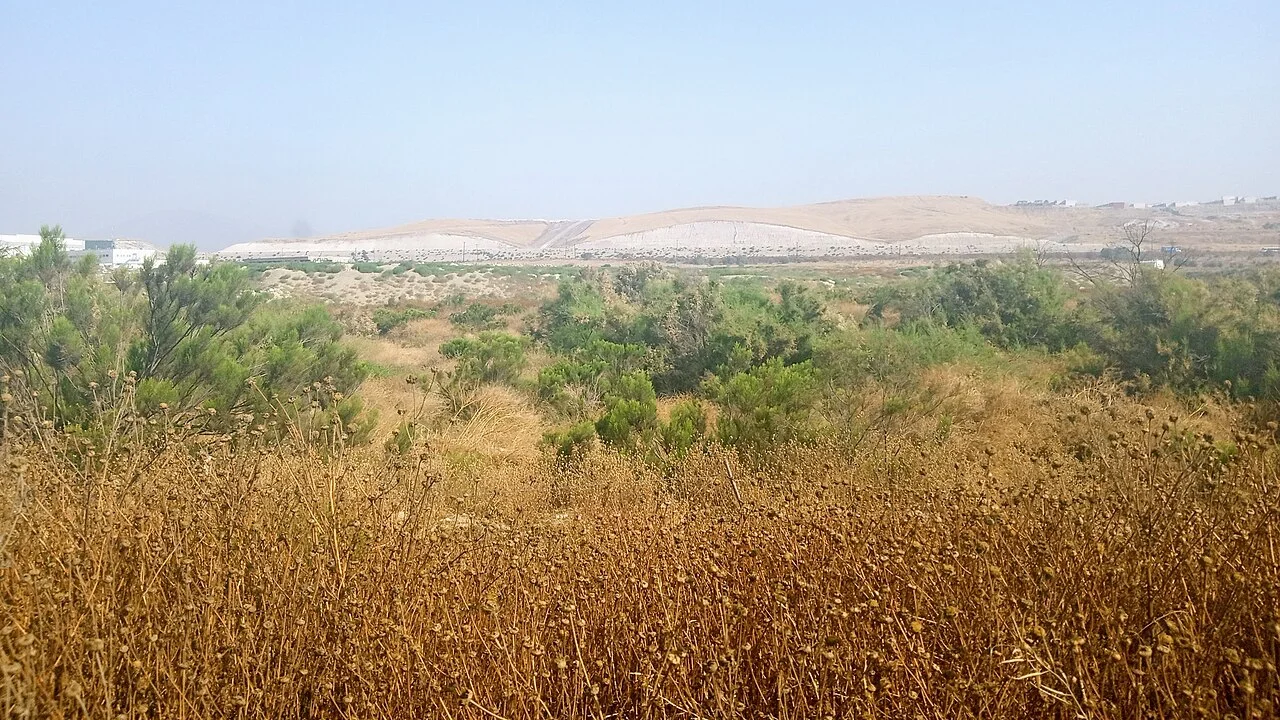 Photo of Colonia el Florido