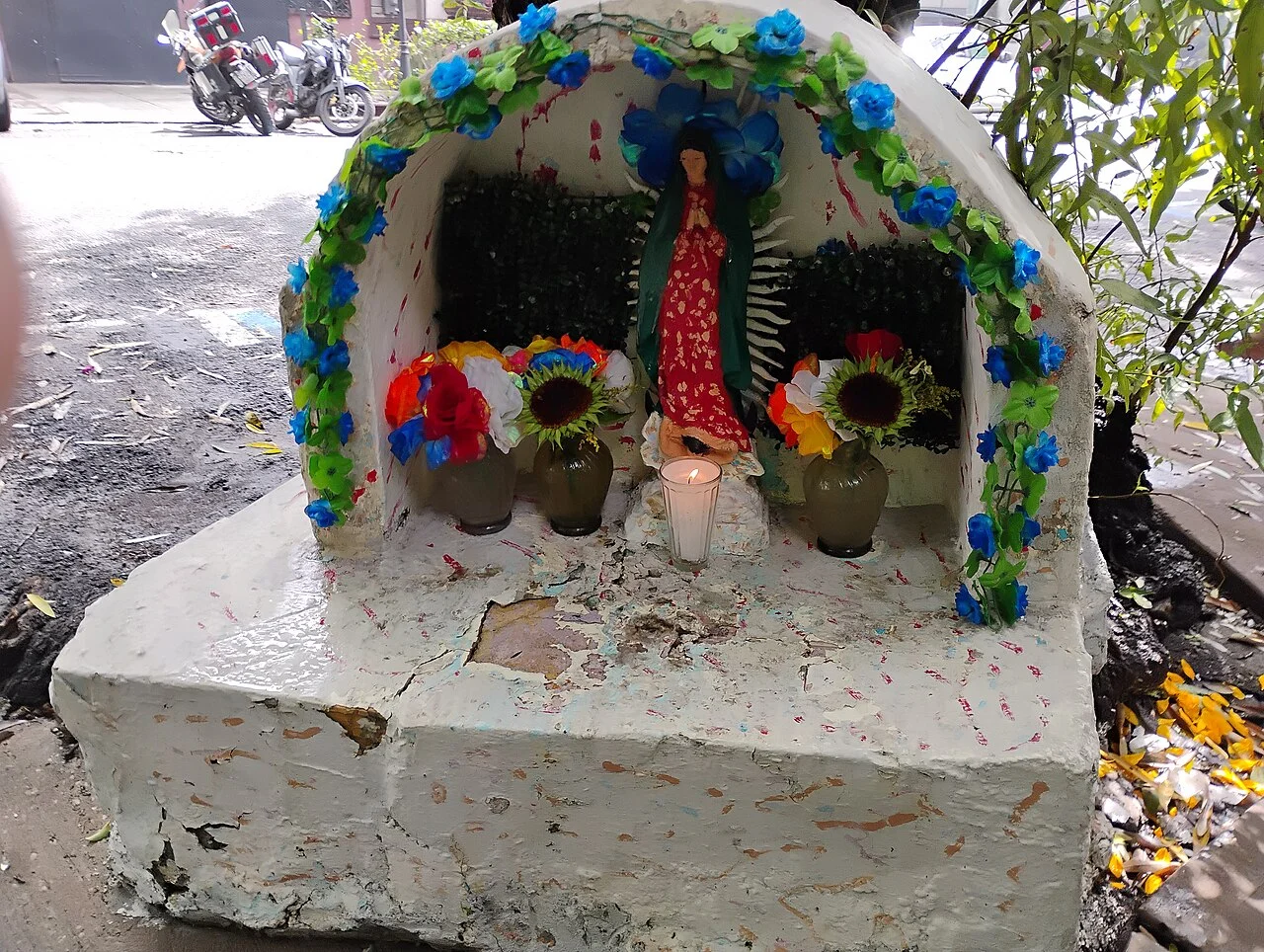 Photo of Colonia Guadalupana