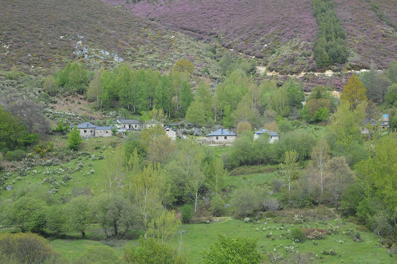 Photo of Colonia las Arboledas