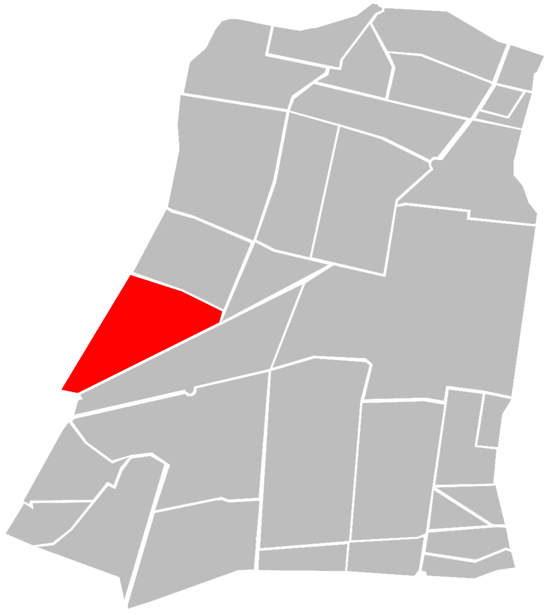 Photo of Colonia Palma