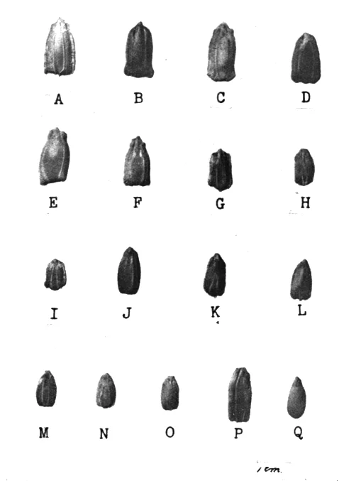 Photo of Colonias Unidas