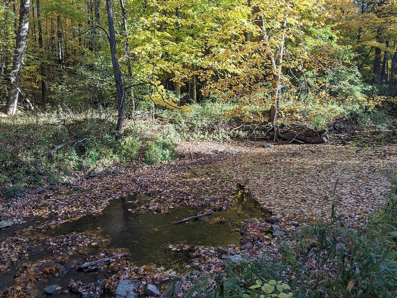 Photo of Combined Locks