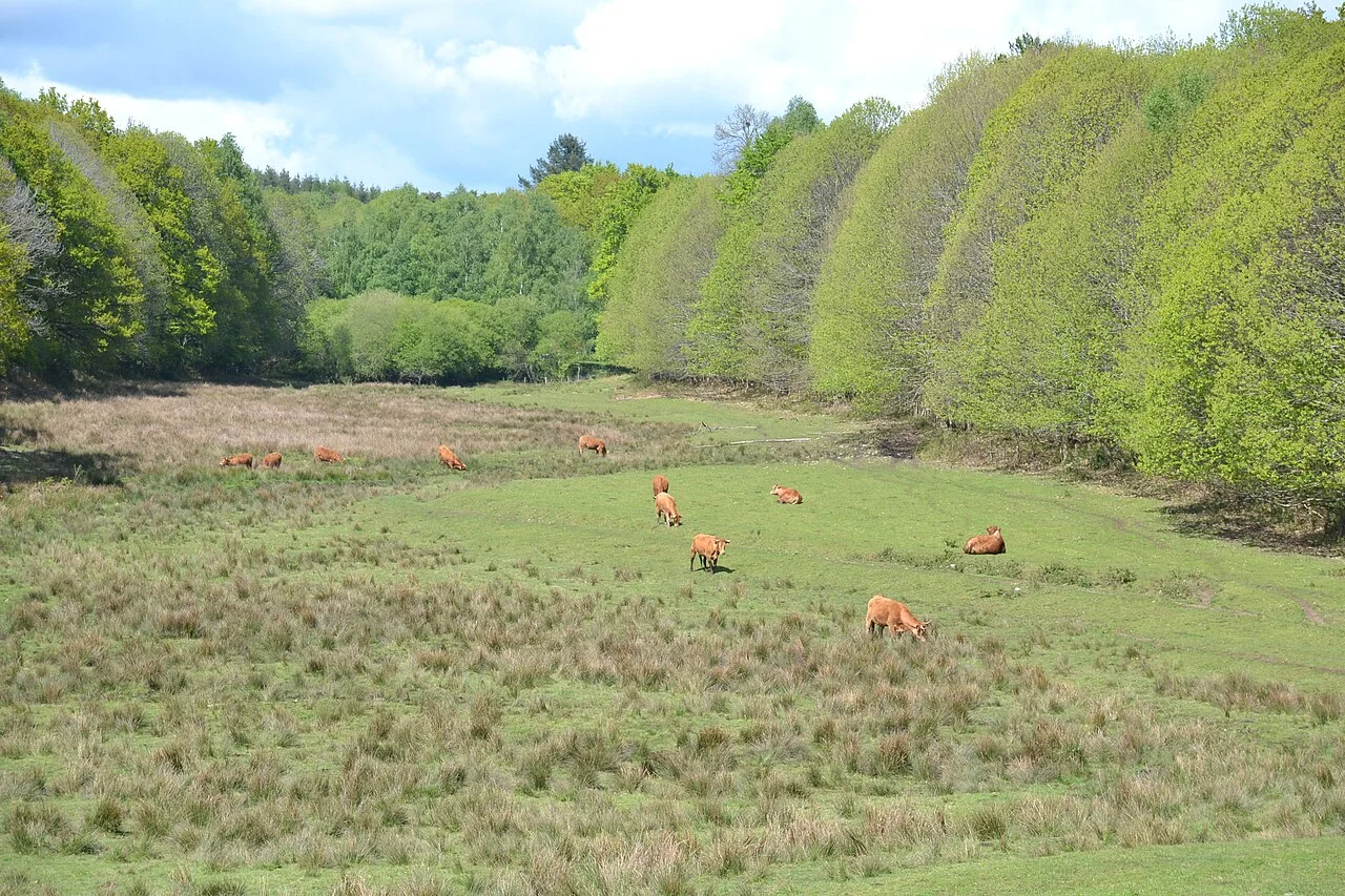 Photo of Compreignac