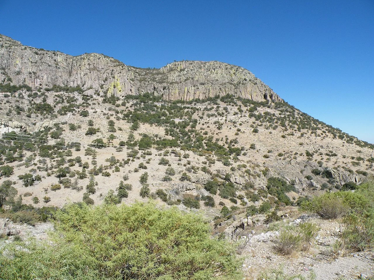 Photo of Coneto de Comonfort