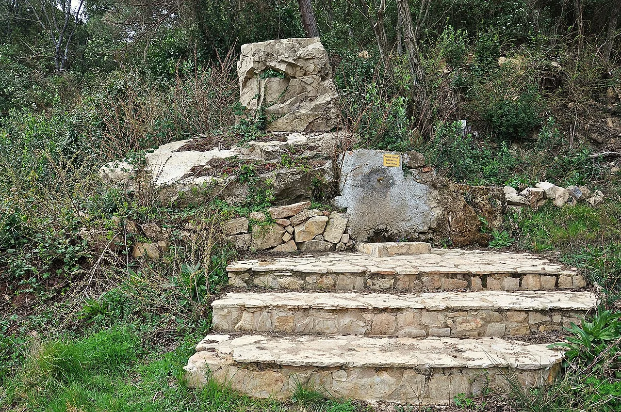 Photo of Constancio Farfán (La Pascuala)