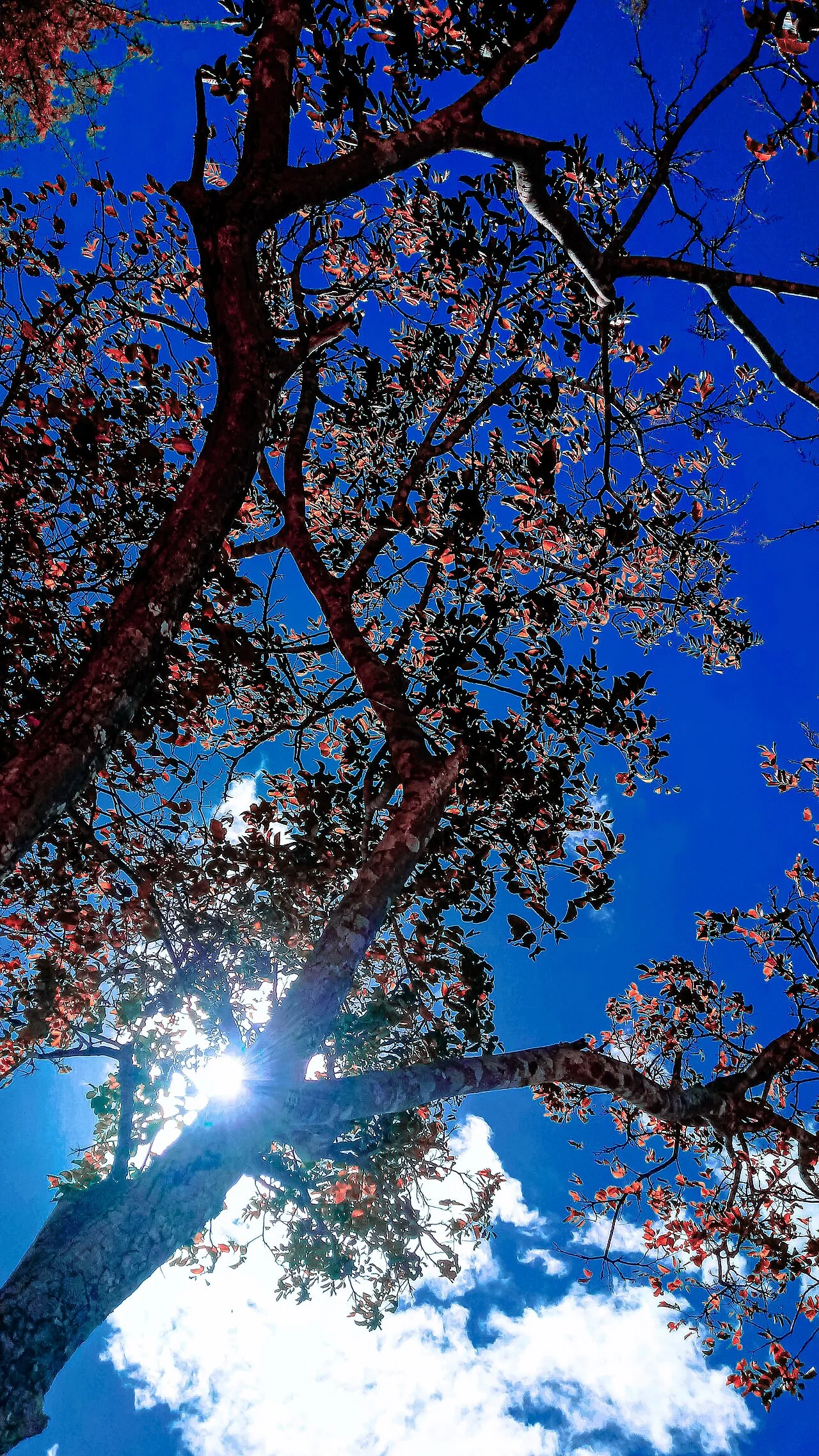 Photo of Contendas do Sincorá