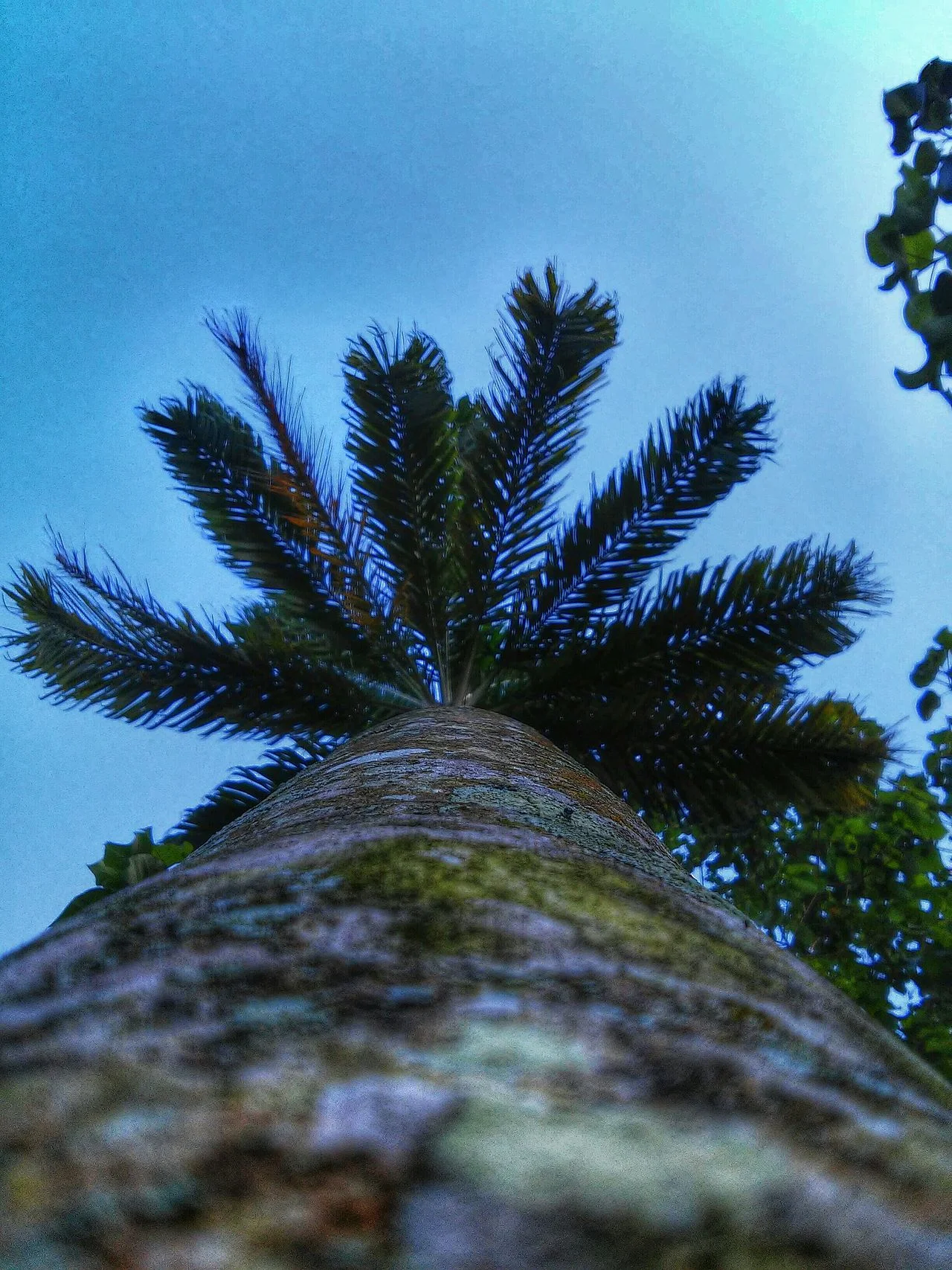 Photo of Coqueiro Baixo