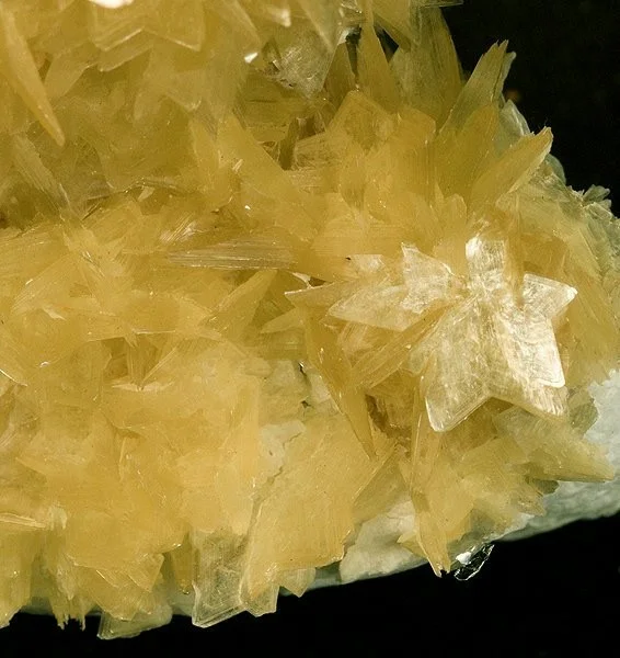 Photo of Coronel Murta