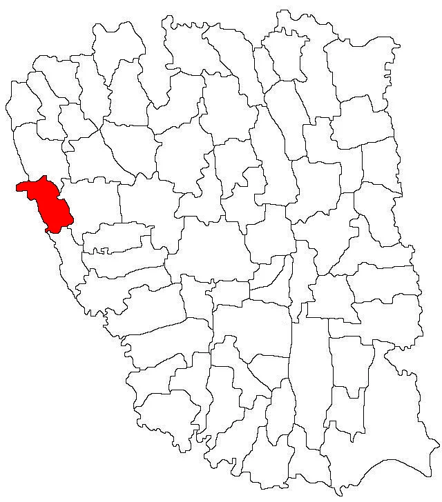 Photo of Cosmeștii-Vale