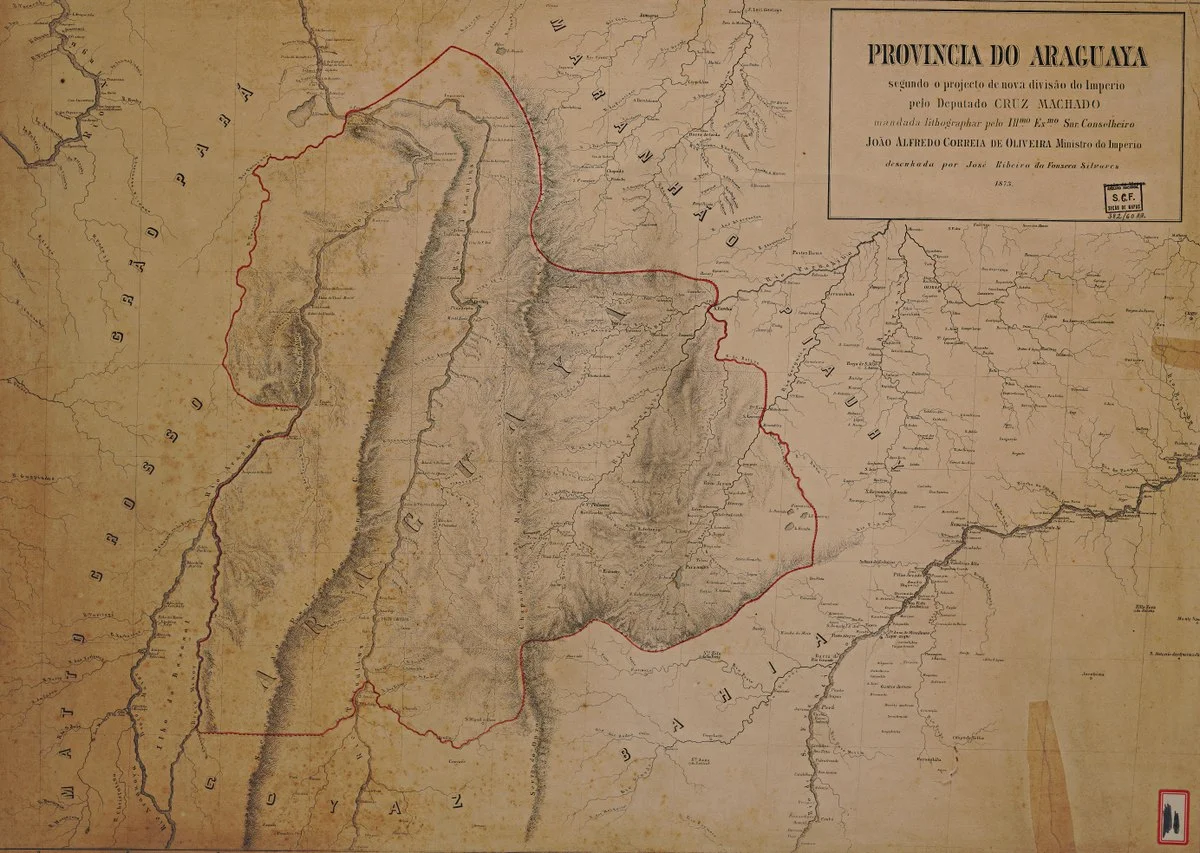 Photo of Cruz Machado