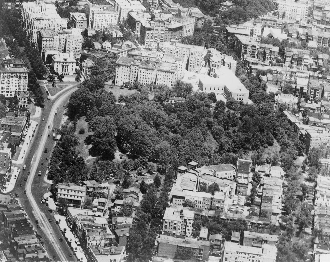 Photo of Crystal Lawns