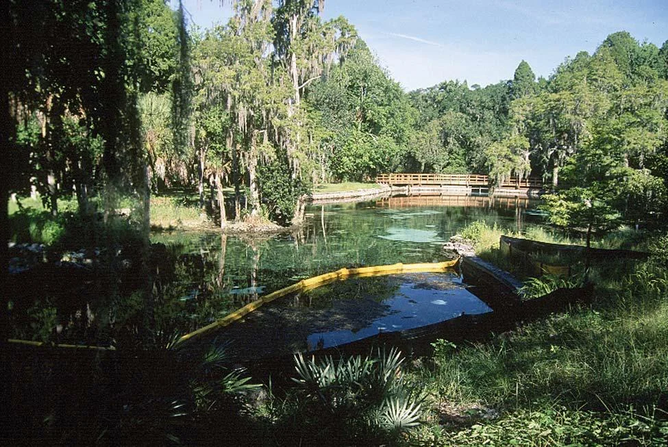 Photo of Crystal Springs