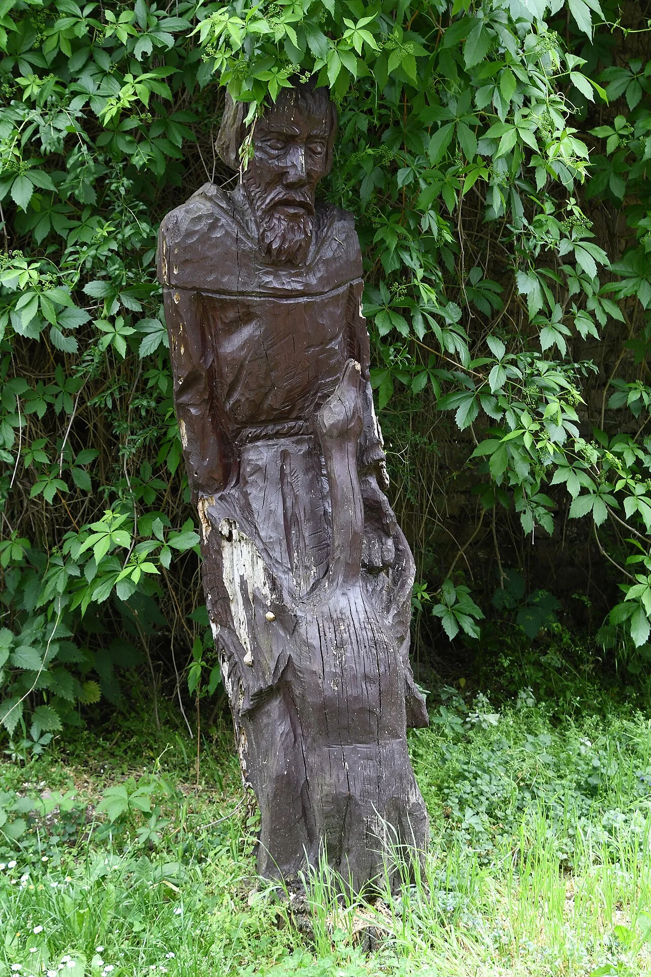 Photo of Császártöltés