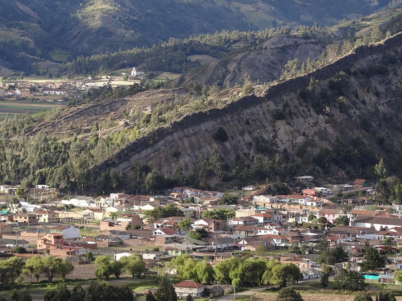 Photo of Cucaita