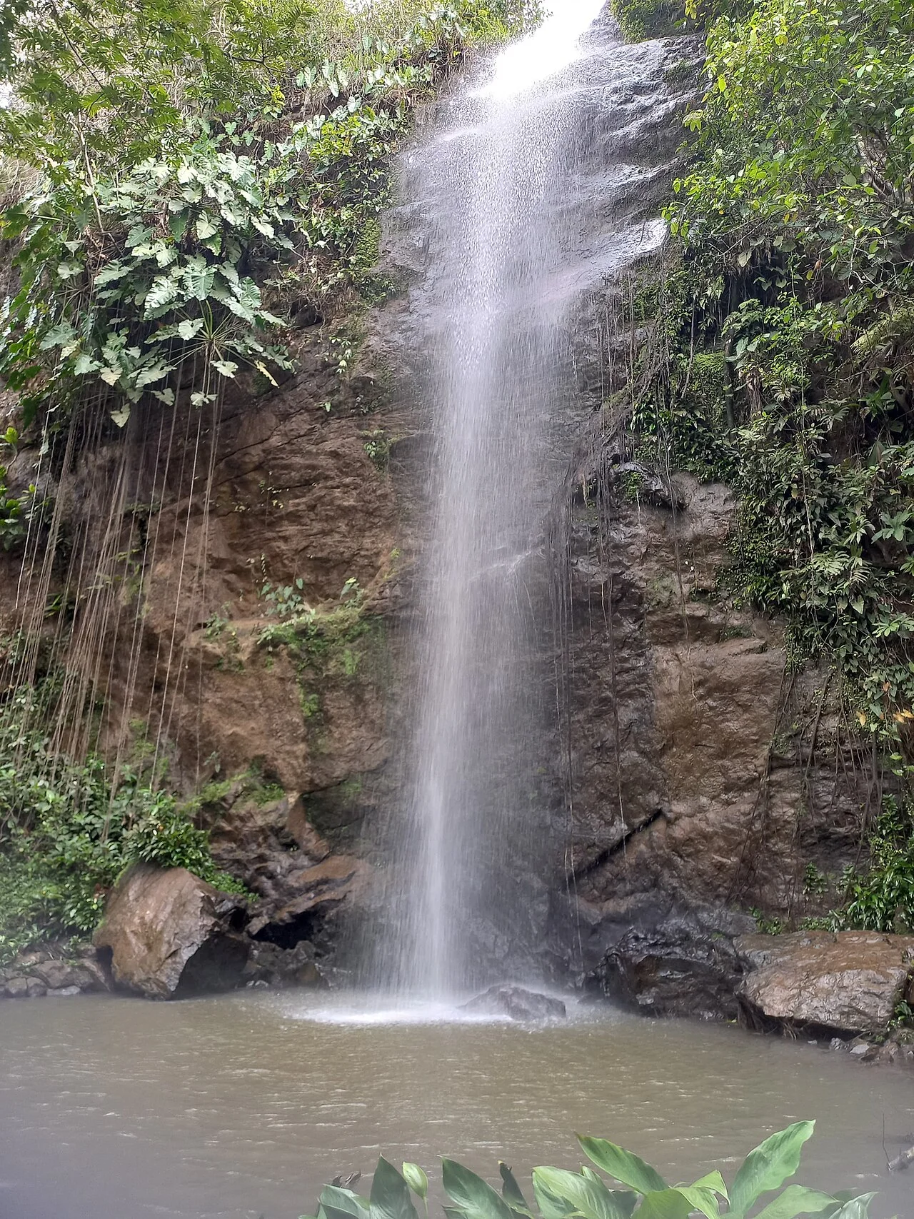 Photo of Curionópolis