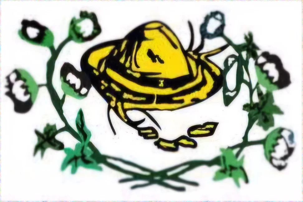 Photo of Currais Novos