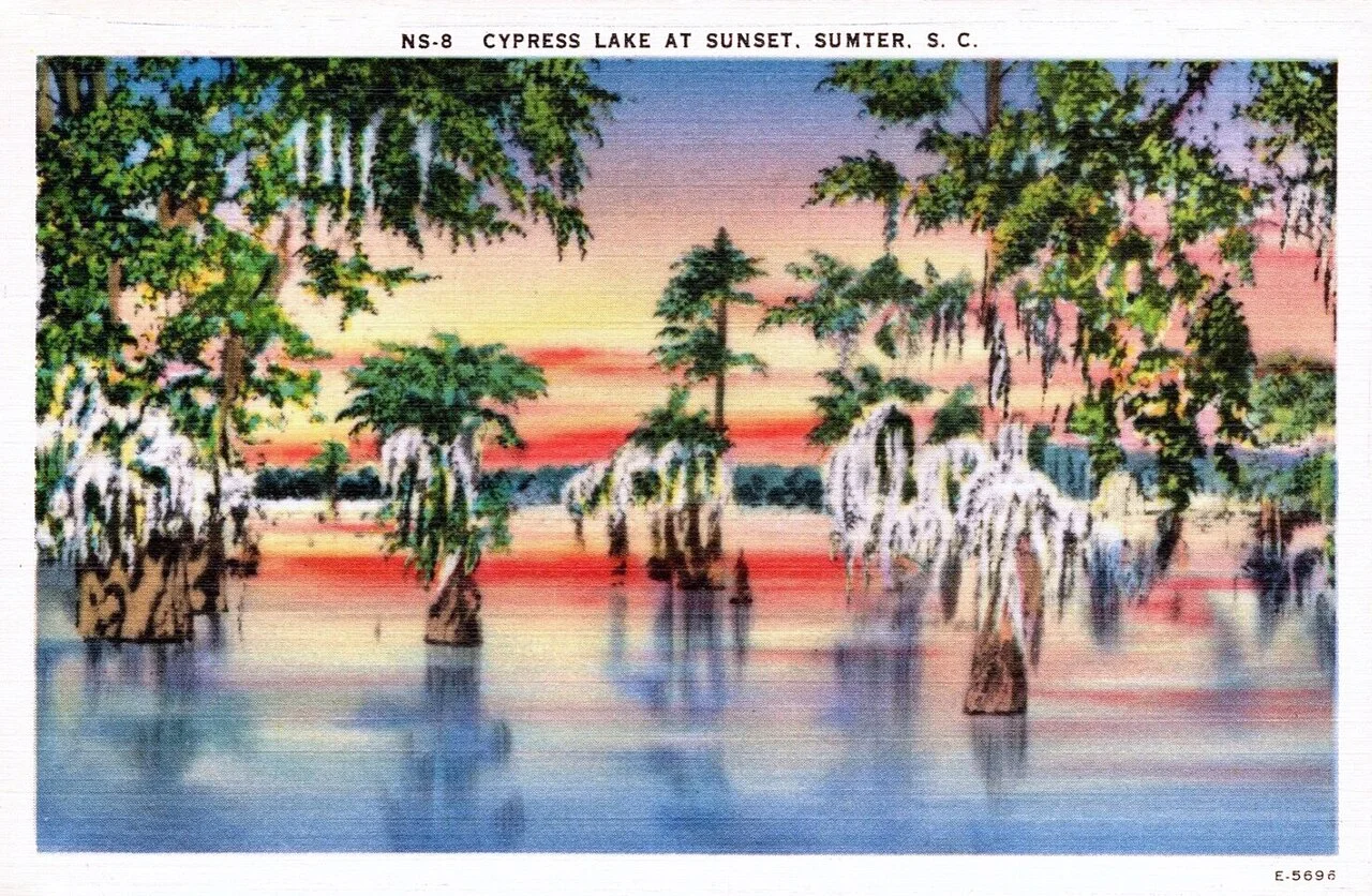 Photo of Cypress Lake