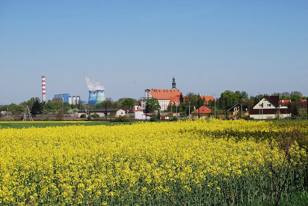 Photo of Czarnowąsy