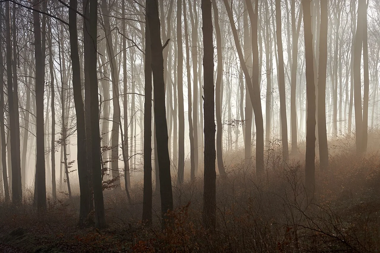 Photo of Czernichów