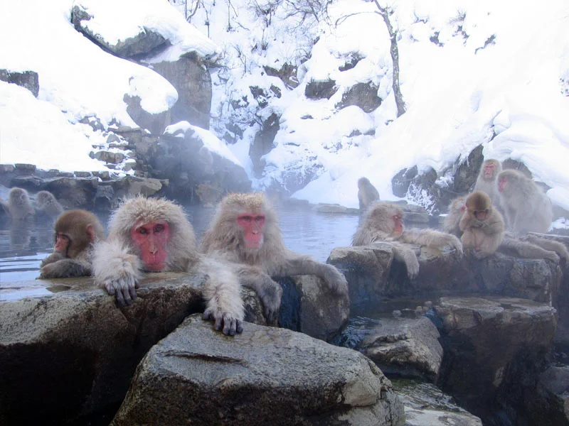 Photo of Dake-onsen