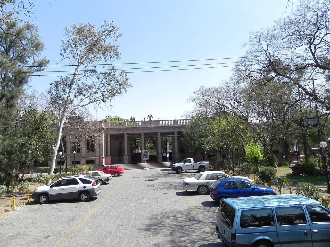 Photo of Damian Carmona