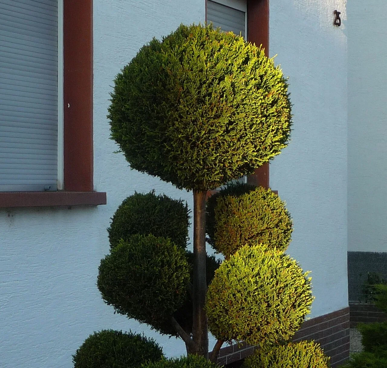 Photo of Dannstadt-Schauernheim