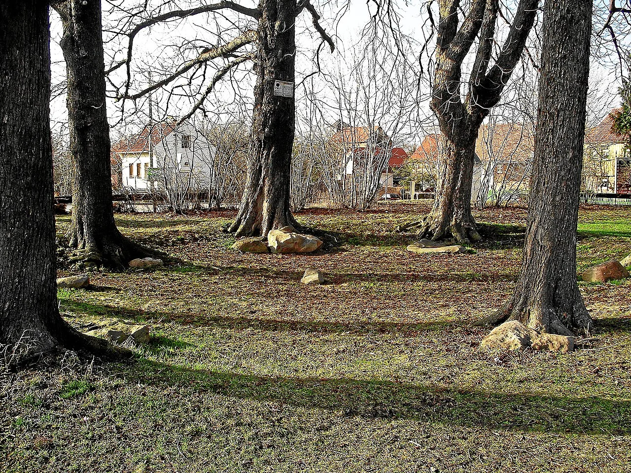 Photo of Darlingerode