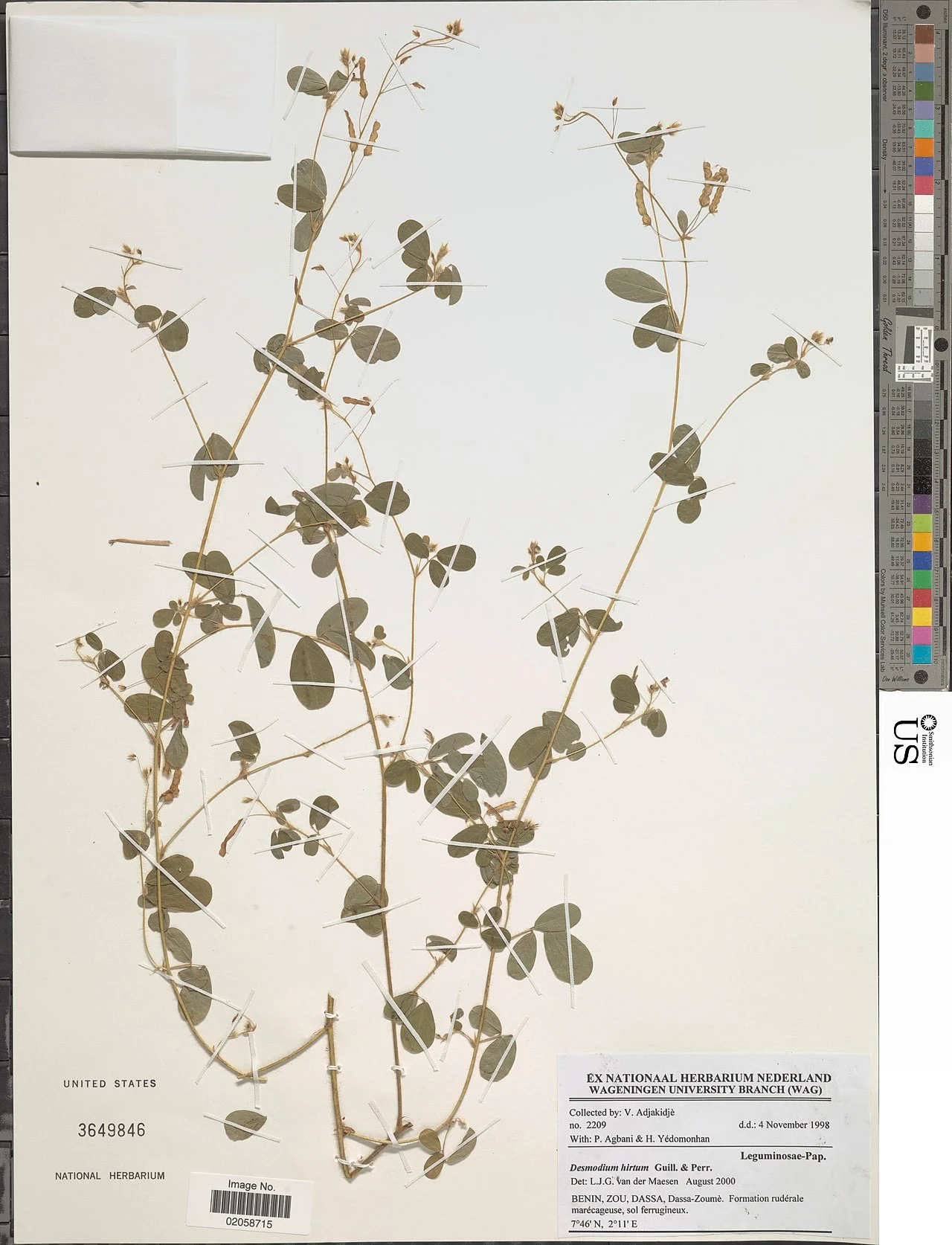 Photo of Dassa-Zoumè