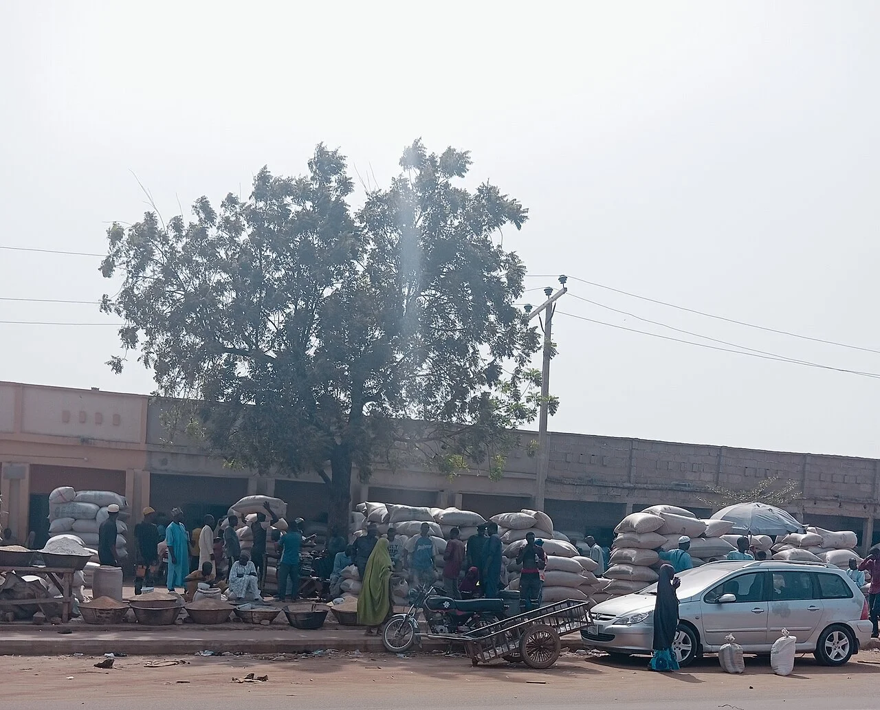 Photo of Dawakin Tofa