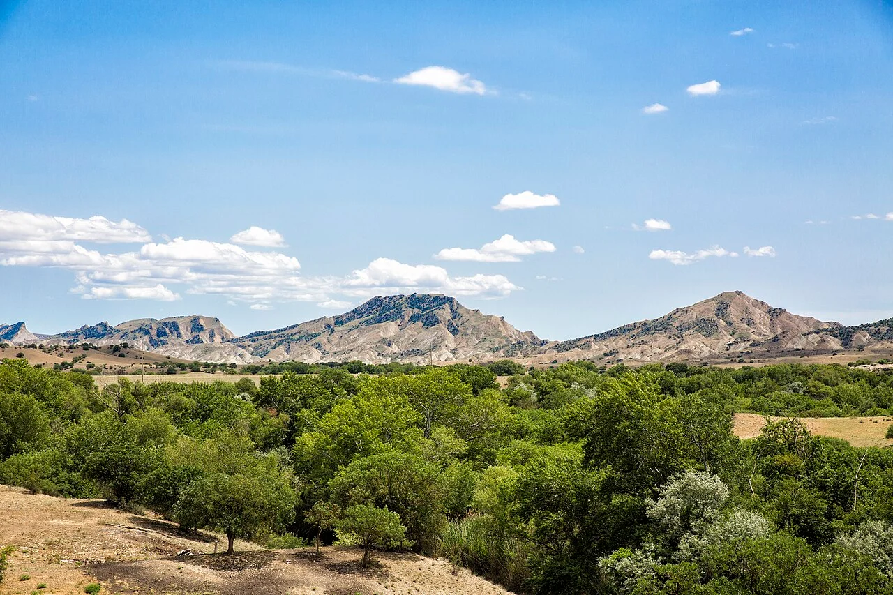 Photo of Dedoplistsqaro