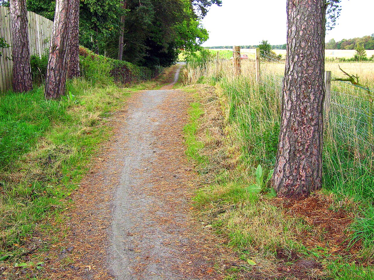 The Deeside Way joins the North Deeside Road