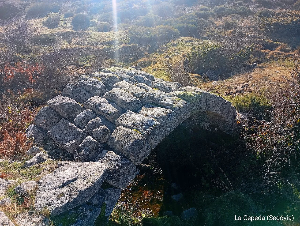 Photo of Dehesa de Romanos