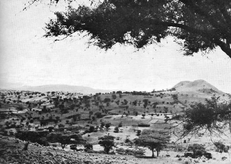 Photo of Dembī Dolo