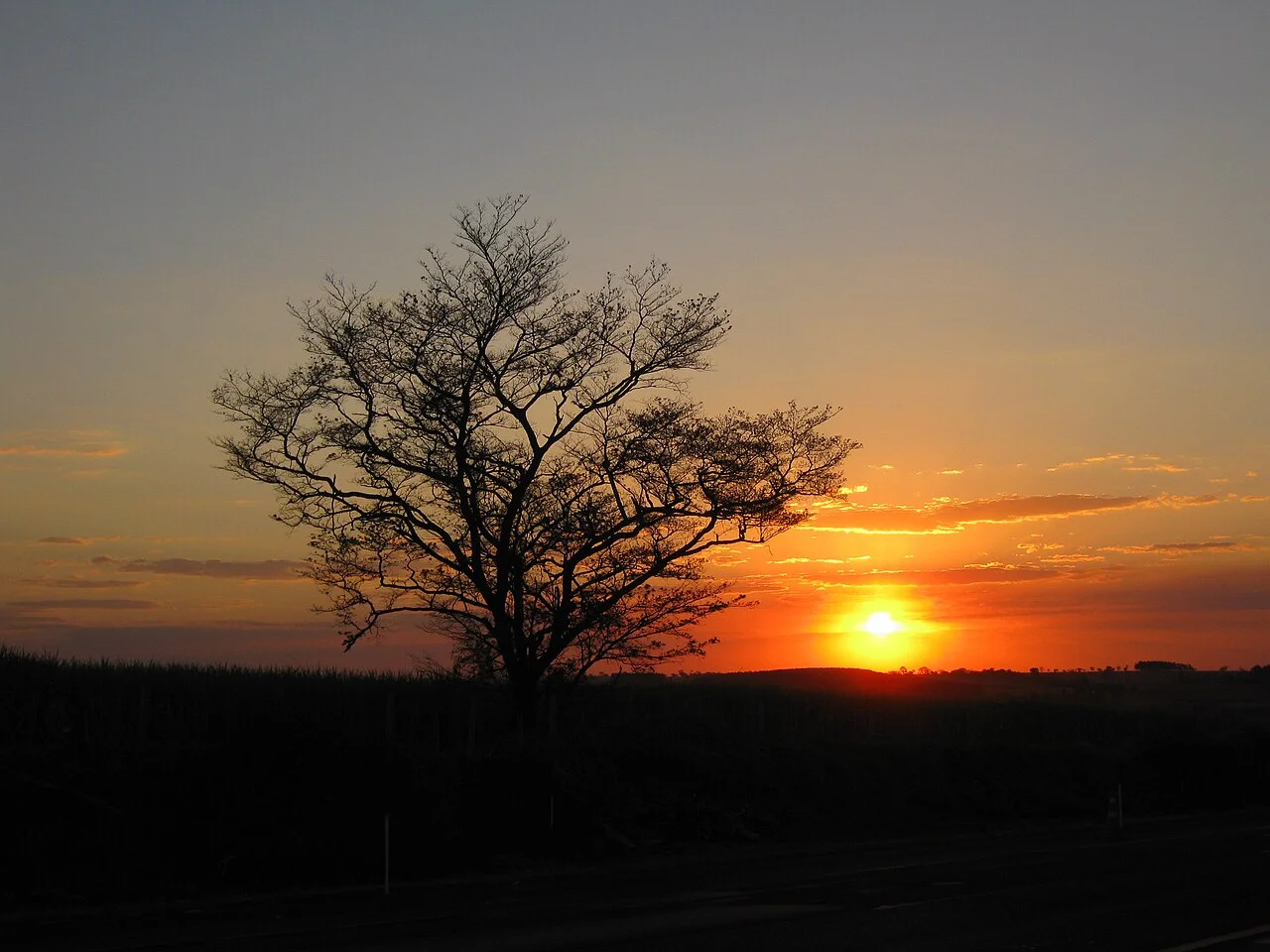 Photo of Deodápolis